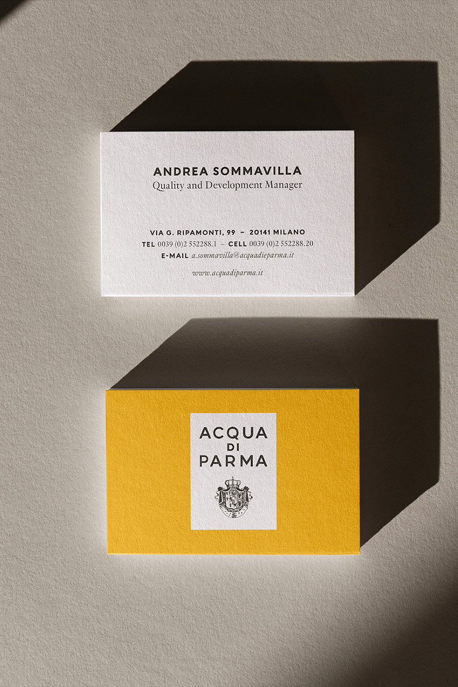 Portfolio Work